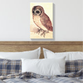 Albrecht Durer The Little Owl Canvas Afdruk (Insitu (Slaapkamer))