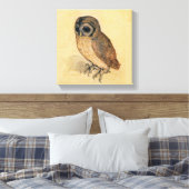 Albrecht Durer The Little Owl Canvas Afdruk (Insitu (Slaapkamer))