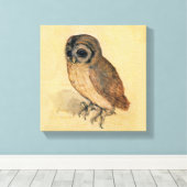 Albrecht Durer The Little Owl Canvas Afdruk (Insitu (Houten vloer))