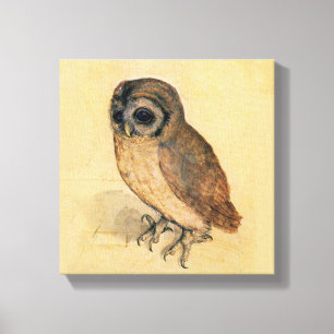 Albrecht Durer The Little Owl Canvas Afdruk