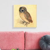Albrecht Durer The Little Owl Canvas Afdruk (Insitu (Woonkamer))