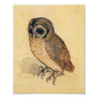 Albrecht Durer The Little Owl