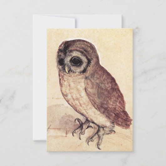 Albrecht Durer The Little Owl Invitations Kaart (Voorkant)