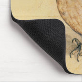 Albrecht Durer The Little Owl Muismat (Hoek)