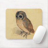 Albrecht Durer The Little Owl Muismat (Met muis)