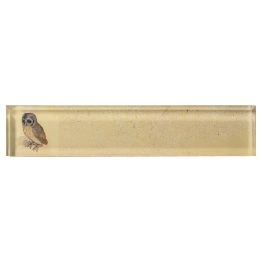 Albrecht Durer The Little Owl Naambordje (Voorkant)