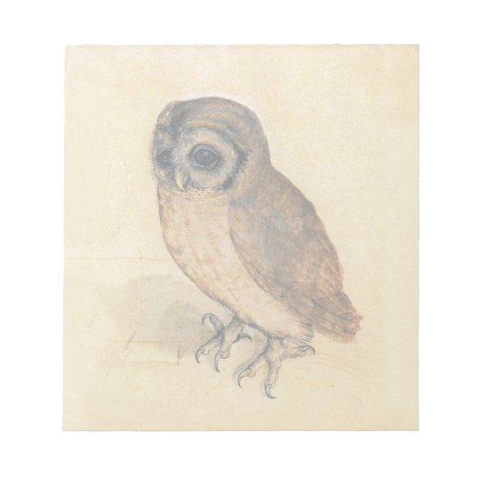 Albrecht Durer The Little Owl Notitieblok (Voorkant)
