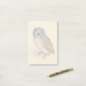 Albrecht Durer The Little Owl Post-it® Notes (Op bureau)