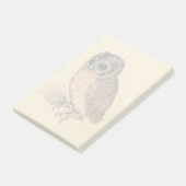 Albrecht Durer The Little Owl Post-it® Notes (Schuin)