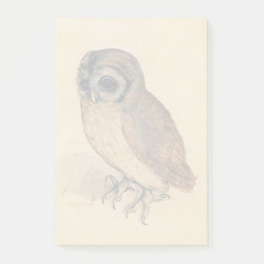 Albrecht Durer The Little Owl Post-it® Notes (Voorkant)