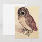 Albrecht Durer The Little Owl Postcard Briefkaart (Voorkant / Achterkant)