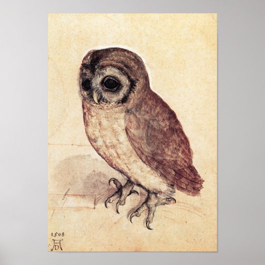 Albrecht Durer The Little Owl Poster (Voorkant)