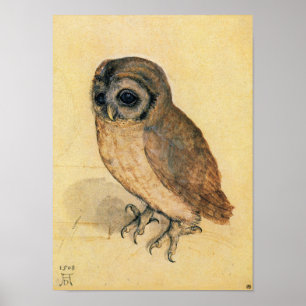 Albrecht Durer The Little Owl Poster