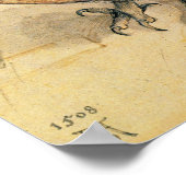 Albrecht Durer The Little Owl Poster (Hoek)