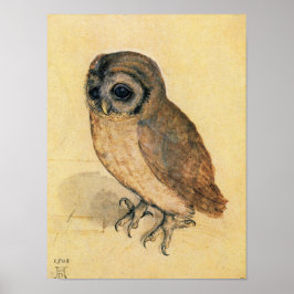 Albrecht Durer The Little Owl Poster