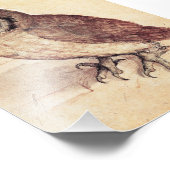 Albrecht Durer The Little Owl Print Foto Afdruk (Hoek)