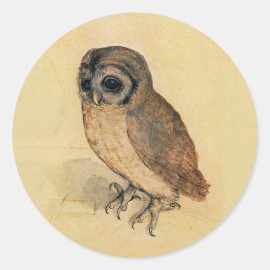 Albrecht Durer The Little Owl Ronde Sticker (Voorkant)