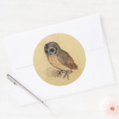 Albrecht Durer The Little Owl Ronde Sticker (Envelop)