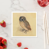 Albrecht Durer The Little Owl Servetten (Insitu)