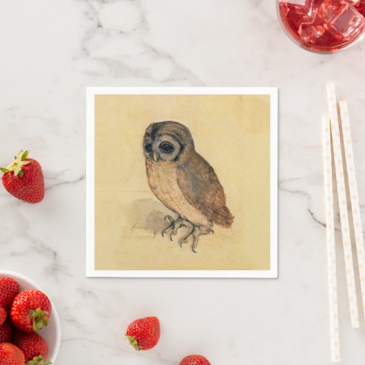 Albrecht Durer The Little Owl Servetten (Insitu)