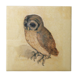 Albrecht Durer The Little Owl Tegeltje
