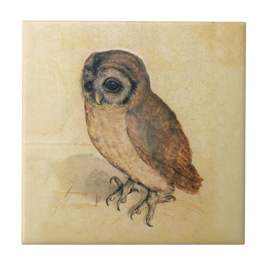 Albrecht Durer The Little Owl Tegeltje (Voorkant)
