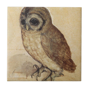 Albrecht Durer - The Little Owl Tegeltje