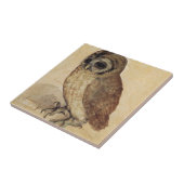 Albrecht Durer - The Little Owl Tegeltje (Zijkant)