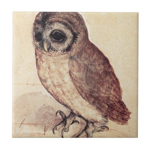 Albrecht Durer The Little Owl Tile Tegeltje (Voorkant)