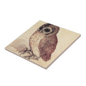 Albrecht Durer The Little Owl Tile Tegeltje (Zijkant)