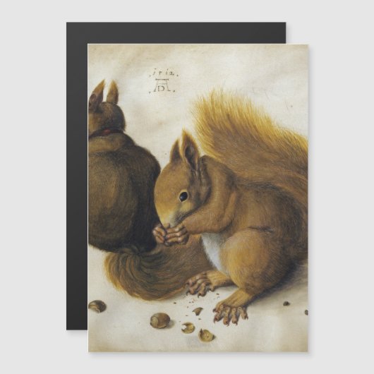 Albrecht Durer - Twee eekhoorns (Voorkant / Achterkant)