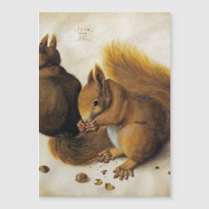 Albrecht Durer - Twee eekhoorns