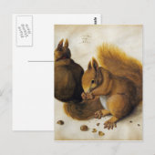 Albrecht Durer - Twee eekhoorns, één die een hazel Briefkaart (Voorkant / Achterkant)