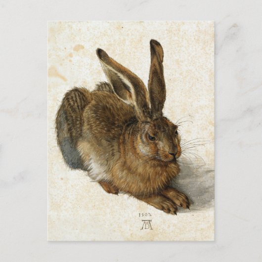 ALBRECHT DÜRER - Young hare 1502 Briefkaart (Voorkant)