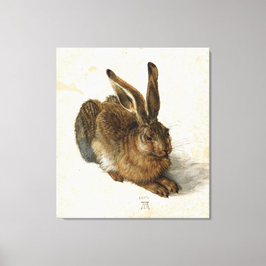 ALBRECHT DÜRER - Young hare 1502 Canvas Afdruk (Voorkant)