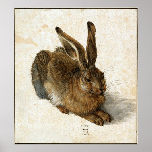 ALBRECHT DÜRER - Young hare 1502 Poster (Voorkant)