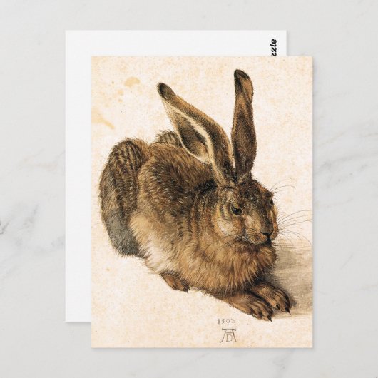 Albrecht Durer Young Hare Briefkaart (Voorkant / Achterkant)