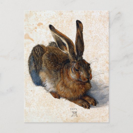 Albrecht Dürer Young Hare Briefkaart (Voorkant)