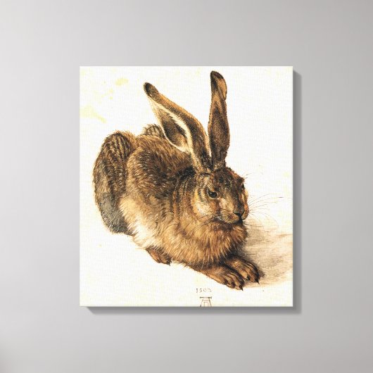 Albrecht Durer Young Hare Canvas Afdruk (Voorkant)