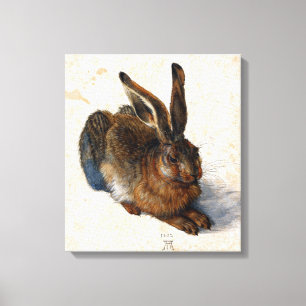 Albrecht Durer Young Hare Canvas Afdruk