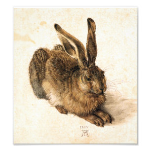 Albrecht Durer Young Hare Foto Afdruk