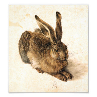 Albrecht Durer Young Hare Foto Afdruk