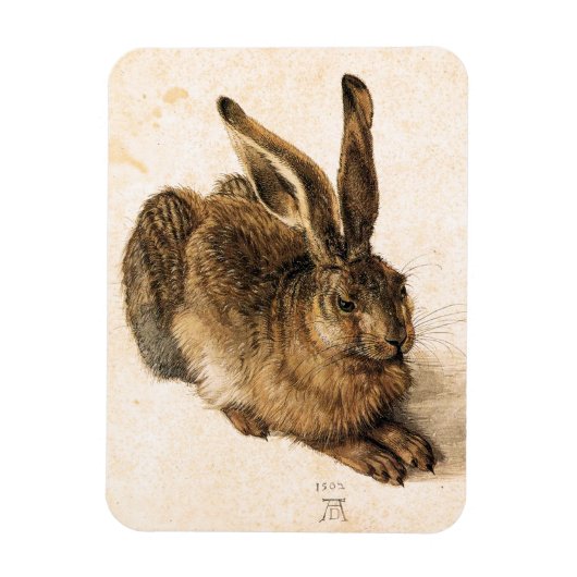 Albrecht Durer Young Hare Magneet (Verticaal)