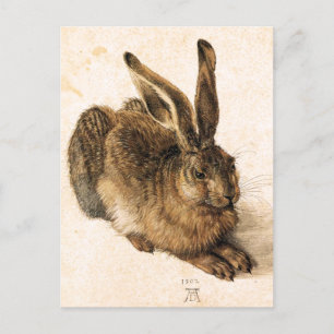 Albrecht Durer Young Hare Postcard Briefkaart
