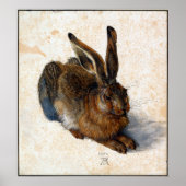 Albrecht Durer Young Hare Poster (Voorkant)