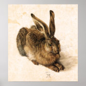Albrecht Durer Young Hare Poster (Voorkant)
