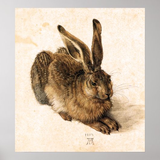 Albrecht Durer Young Hare Poster (Voorkant)