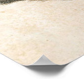 Albrecht Durer Young Hare Poster (Hoek)