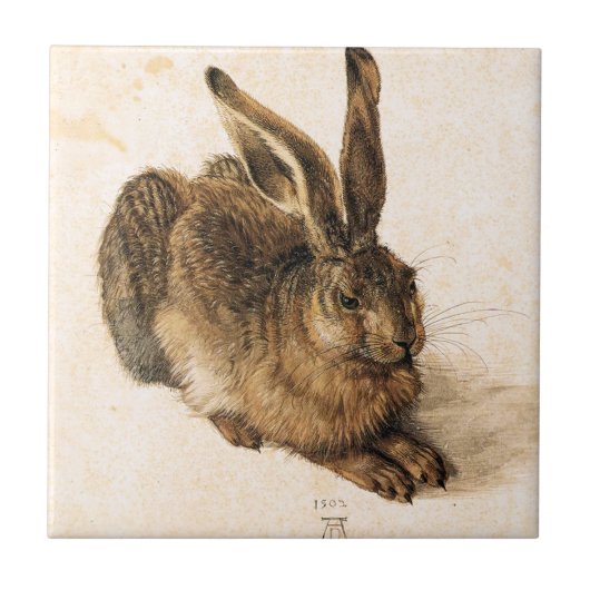 Albrecht Durer Young Hare Tile Tegeltje (Voorkant)