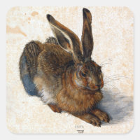 Albrecht Dürer Young Hare